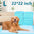 100Pcs Super Absorbent Disposable Pet Urine Pads for Large Breeds Potty Training, Travel - Ideal for Dogs, Puppies, Cats