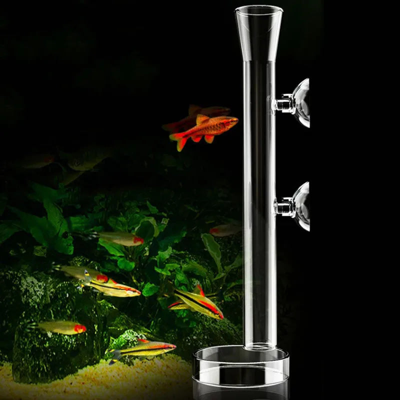Glass Aquarium Feeder Tube Dish Transparent Fish Tank Shrimp Snail Food Feeder Bowl Aquarium Feeding Accessories Shrimp Feeders