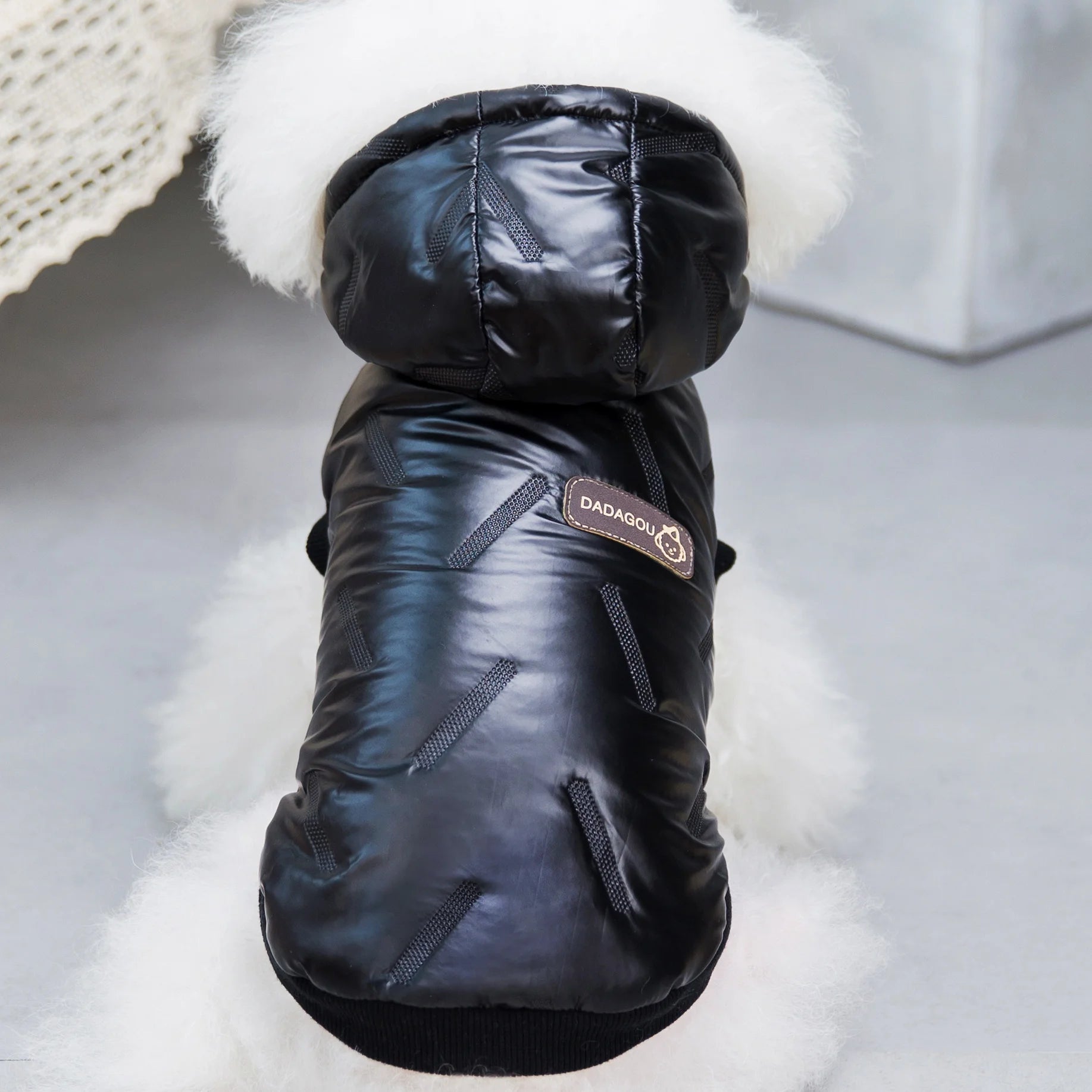 Pet Cats Dog Clothes Winter Warm Down Jacket For Small Dogs Cotton Chihuahua Hooded Clothes Dog Windproof Clothing Coat Apparel