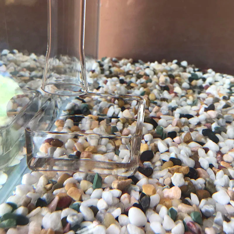 Glass Aquarium Feeder Tube Dish Transparent Fish Tank Shrimp Snail Food Feeder Bowl Aquarium Feeding Accessories Shrimp Feeders