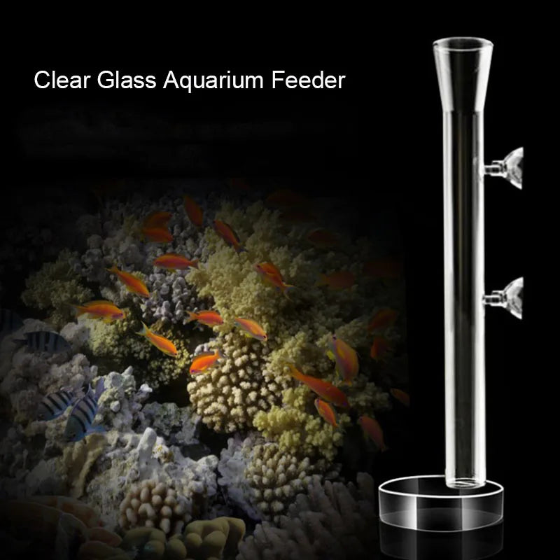 Glass Aquarium Feeder Tube Dish Transparent Fish Tank Shrimp Snail Food Feeder Bowl Aquarium Feeding Accessories Shrimp Feeding