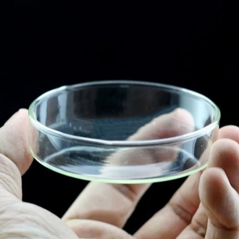 Glass Aquarium Feeder Tube Dish Transparent Fish Tank Shrimp Snail Food Feeder Bowl Aquarium Feeding Accessories Shrimp Feeding