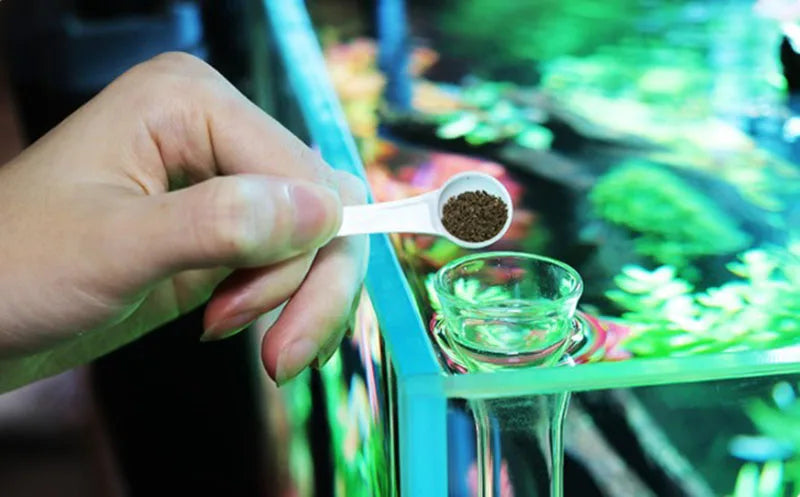 Glass Aquarium Feeder Tube Dish Transparent Fish Tank Shrimp Snail Food Feeder Bowl Aquarium Feeding Accessories Shrimp Feeding