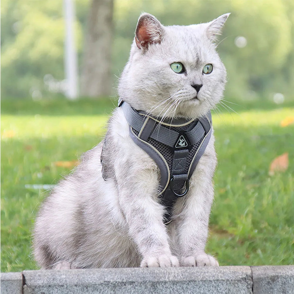 Cat Harness Escape Proof Breathable Cat Harness and Leash for Walking Outdoor Easy Control Pet Dog Cat Leash Reflective Harness