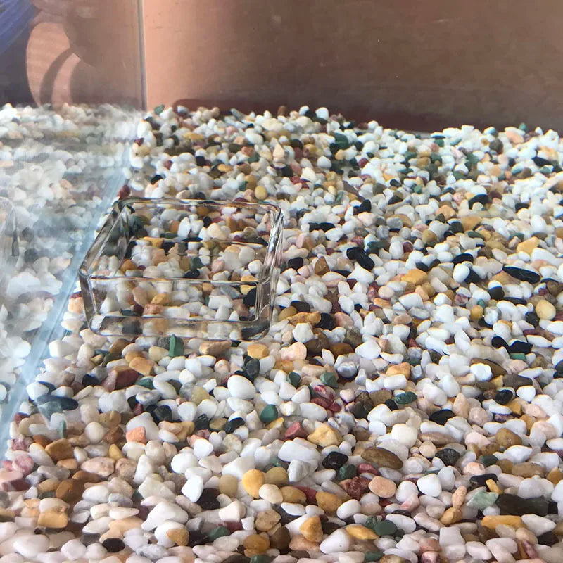 Glass Aquarium Feeder Tube Dish Transparent Fish Tank Shrimp Snail Food Feeder Bowl Aquarium Feeding Accessories Shrimp Feeding