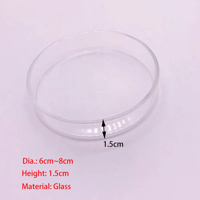 Glass Aquarium Feeder Tube Dish Transparent Fish Tank Shrimp Snail Food Feeder Bowl Aquarium Feeding Accessories Shrimp Feeding