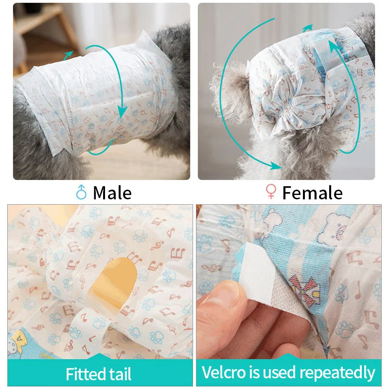 Female Dog Diaper Super Absorption Pet Menstrual Physiological Pants Leakproof Nappies Pants Breathable Puppy Short Dog Supplies