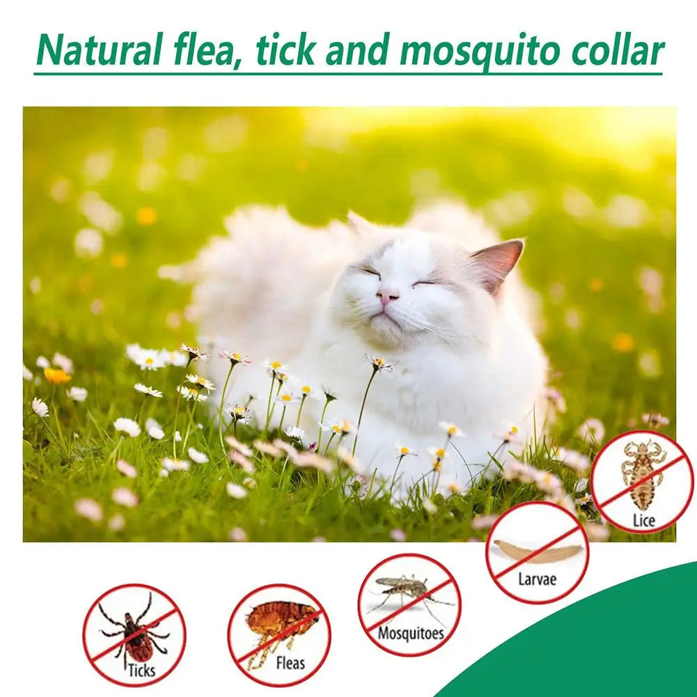 Pet Flea Killer Drops 60ml Anti Fleas Cats Ticks Lice Mite Removal Relieve Itching Antiseptic Pet Pest Spray Skin Care
