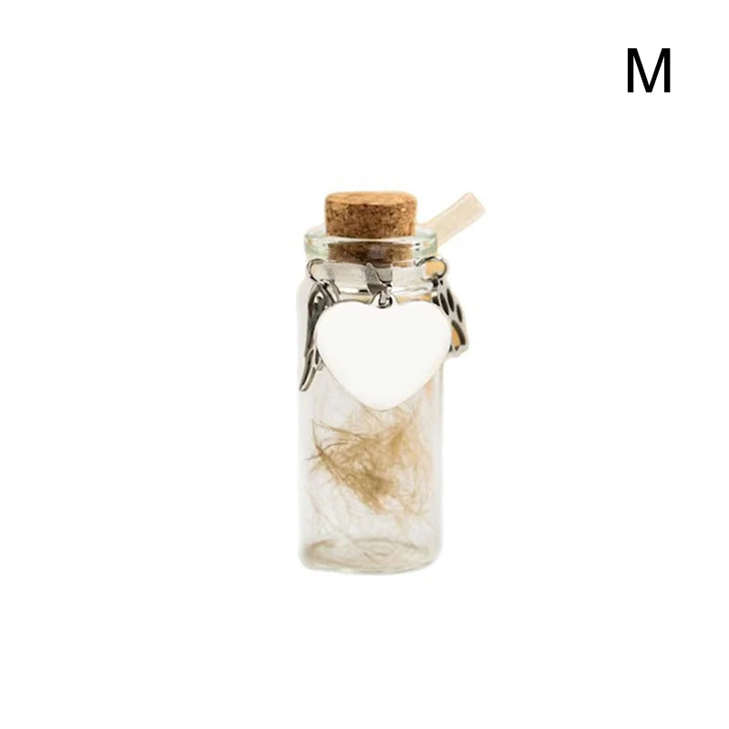 Pet Memorial Bottle For Pet Hair Dogs Cats Fur Keepsake Bottle Storage With 3 Silver Accessories Pet Memorial Urn Container