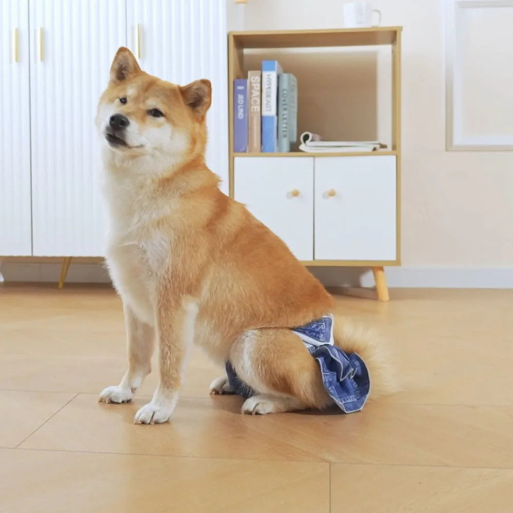 Reusable Female Dog Diapers Washable Premium Doggie Diaper for Girls Dogs Highly Absorbent Dog Shorts for Pet Heat Incontinence