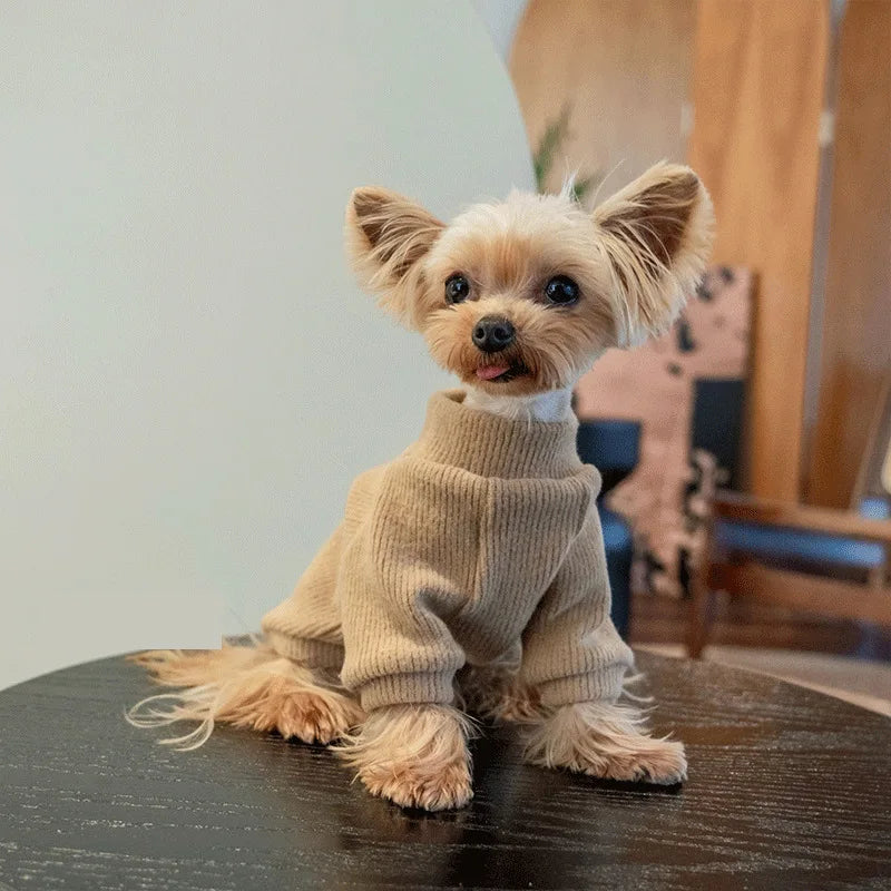 Autumn and winter dog casual simple solid color pullover sweater for small and medium-sized dogs warm cat two-legged pet dog clo