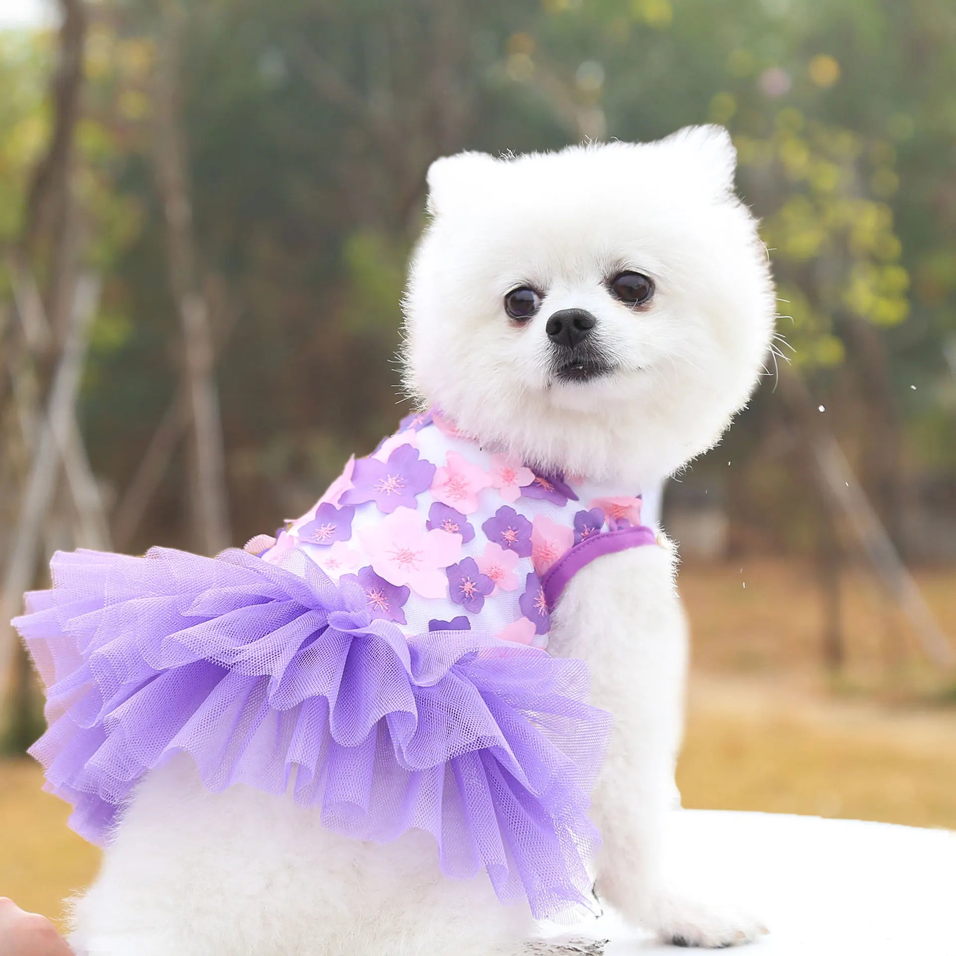 Floral Princess Dog Dress, Flower Puppy Apparel For Mini To Medium Dogs, Breathable And Soft, Perfect For Outings