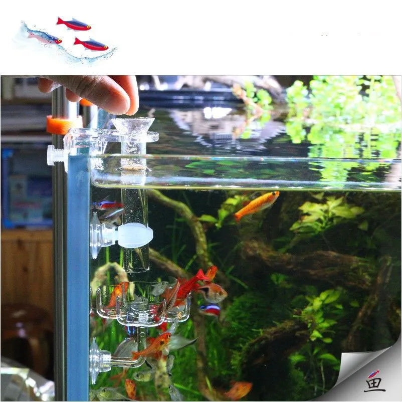 Aquarium Feeding Tray Clear Fish Shrimp Food Feeder Tube Dish Shrimp Bowl Feeding Ring Fish Tank Decoration Accessories