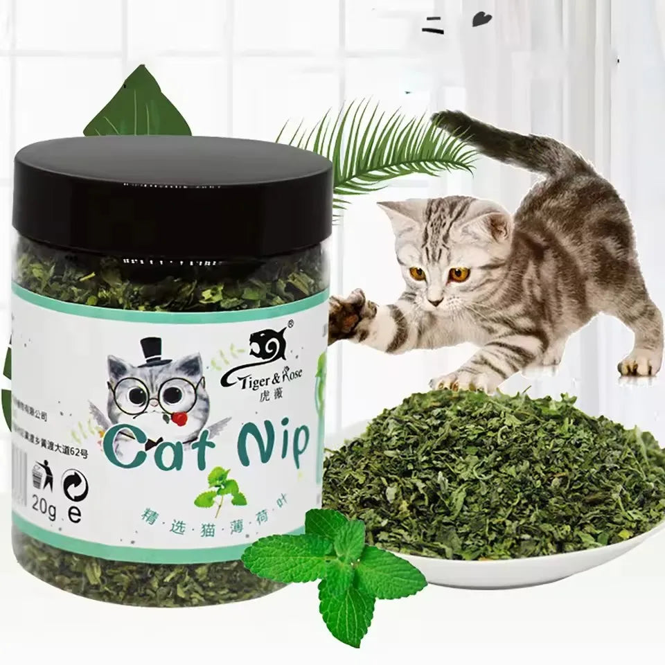 Organic 100% Natural High Quality Catnip Cattle Grass Mint Taste Funny Cat Toy New Cat Toy Interactive Cat Toys Pet Supplies