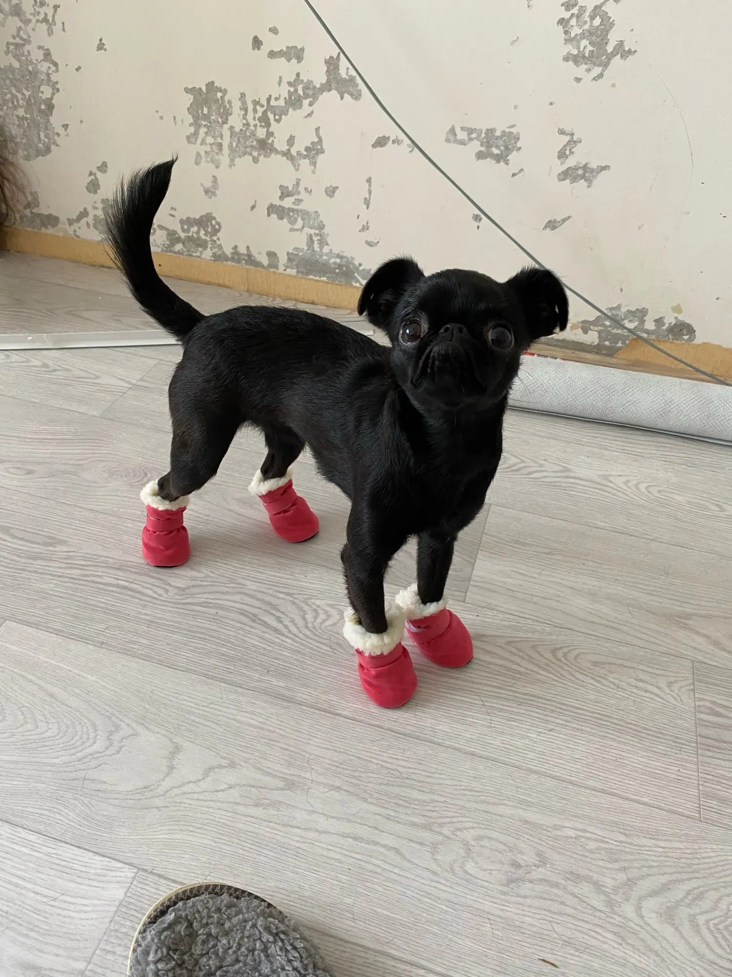 4pcs Winter Dog Shoes Waterproof Shoes For Medium Dogs Winter Boots For Small Dogs Warm Chihuahua Teeth Puppy Socks Yorkshire