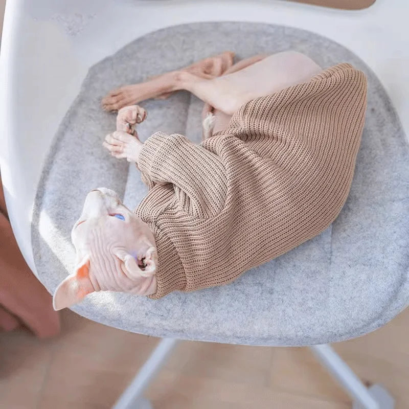 Autumn and winter dog casual simple solid color pullover sweater for small and medium-sized dogs warm cat two-legged pet dog clo