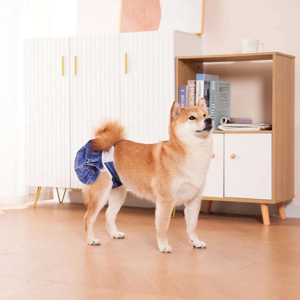 Reusable Female Dog Diapers Washable Premium Doggie Diaper for Girls Dogs Highly Absorbent Dog Shorts for Pet Heat Incontinence