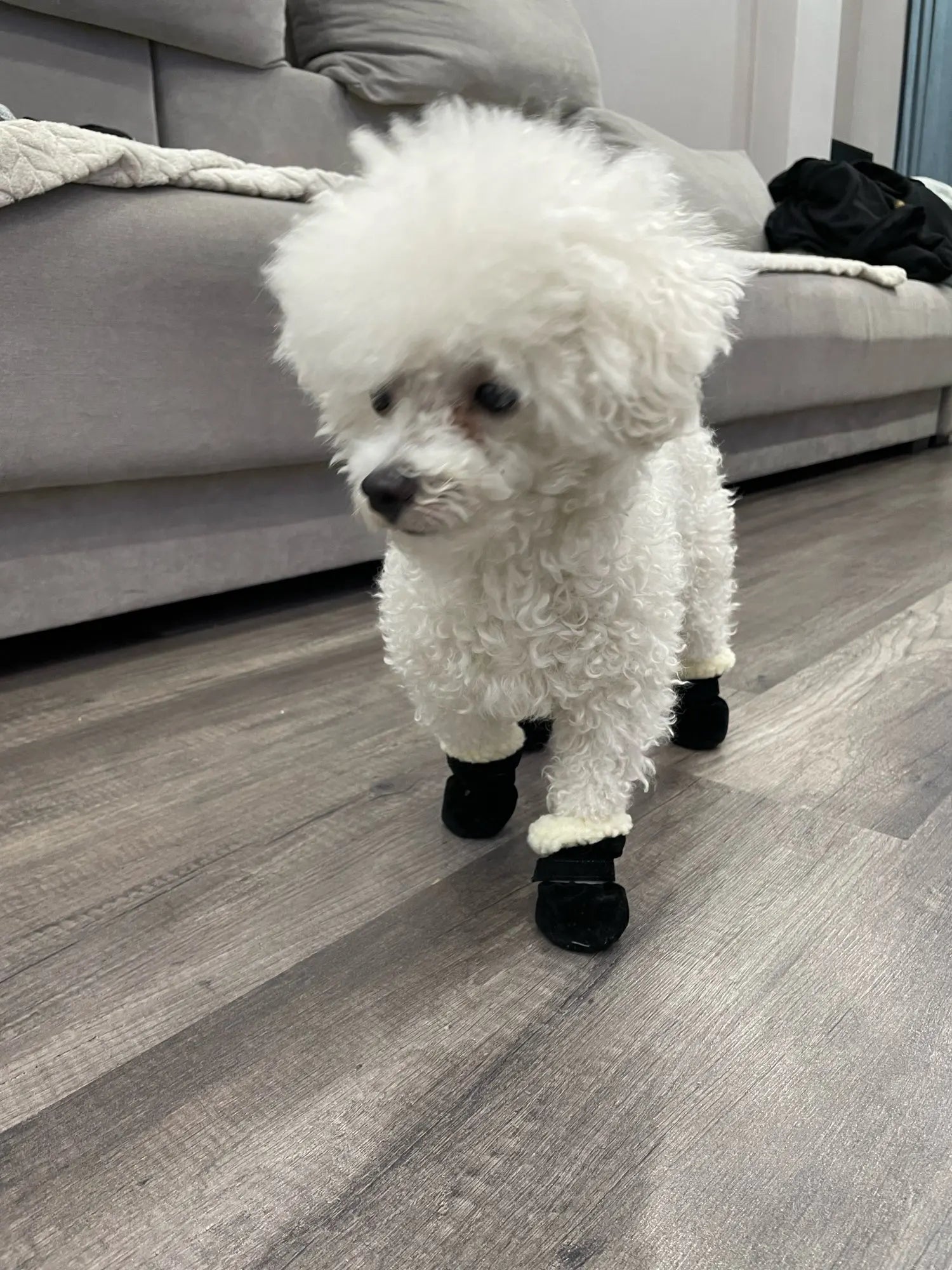 4pcs Winter Dog Shoes Waterproof Shoes For Medium Dogs Winter Boots For Small Dogs Warm Chihuahua Teeth Puppy Socks Yorkshire