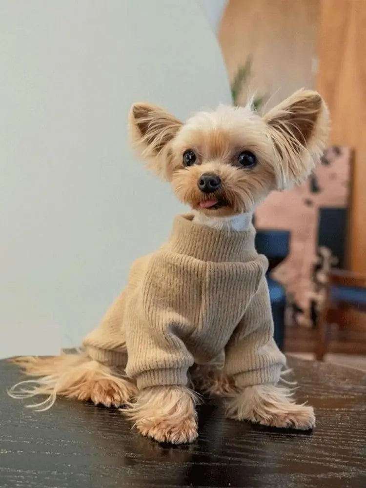 Autumn and winter dog casual simple solid color pullover sweater for small and medium-sized dogs warm cat two-legged pet dog clo