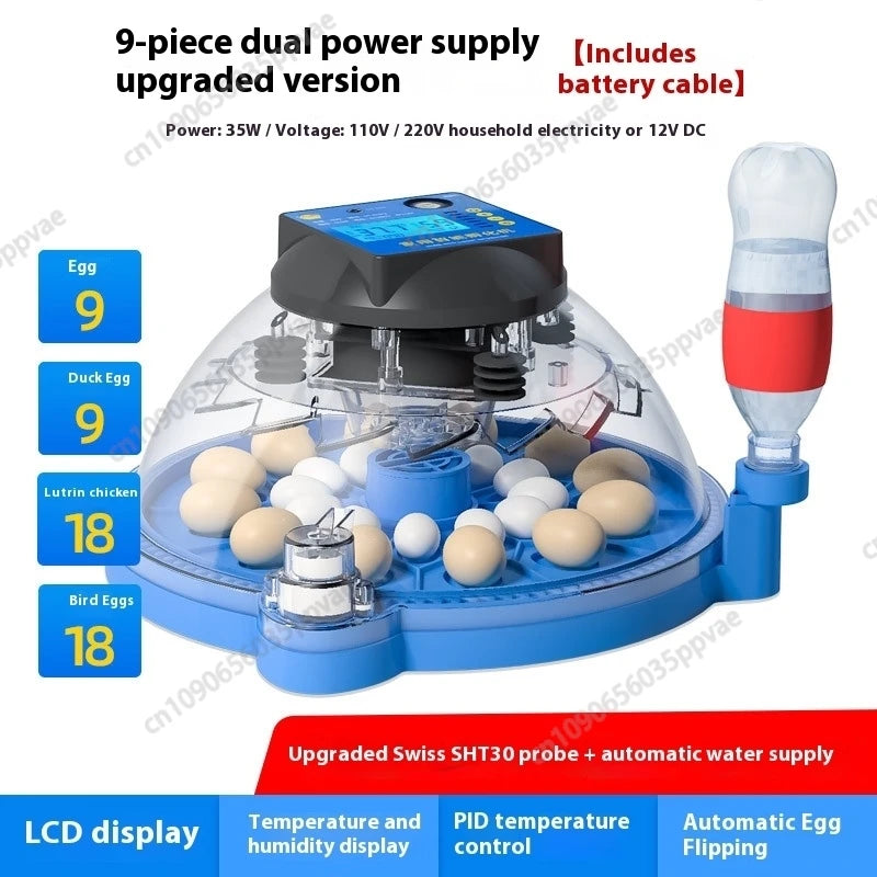 A8 Shape Automatic Egg Incubator For Cockatiel Parrot Quail Birds With Digital Temperature Control And Humidity Adjustment Smart