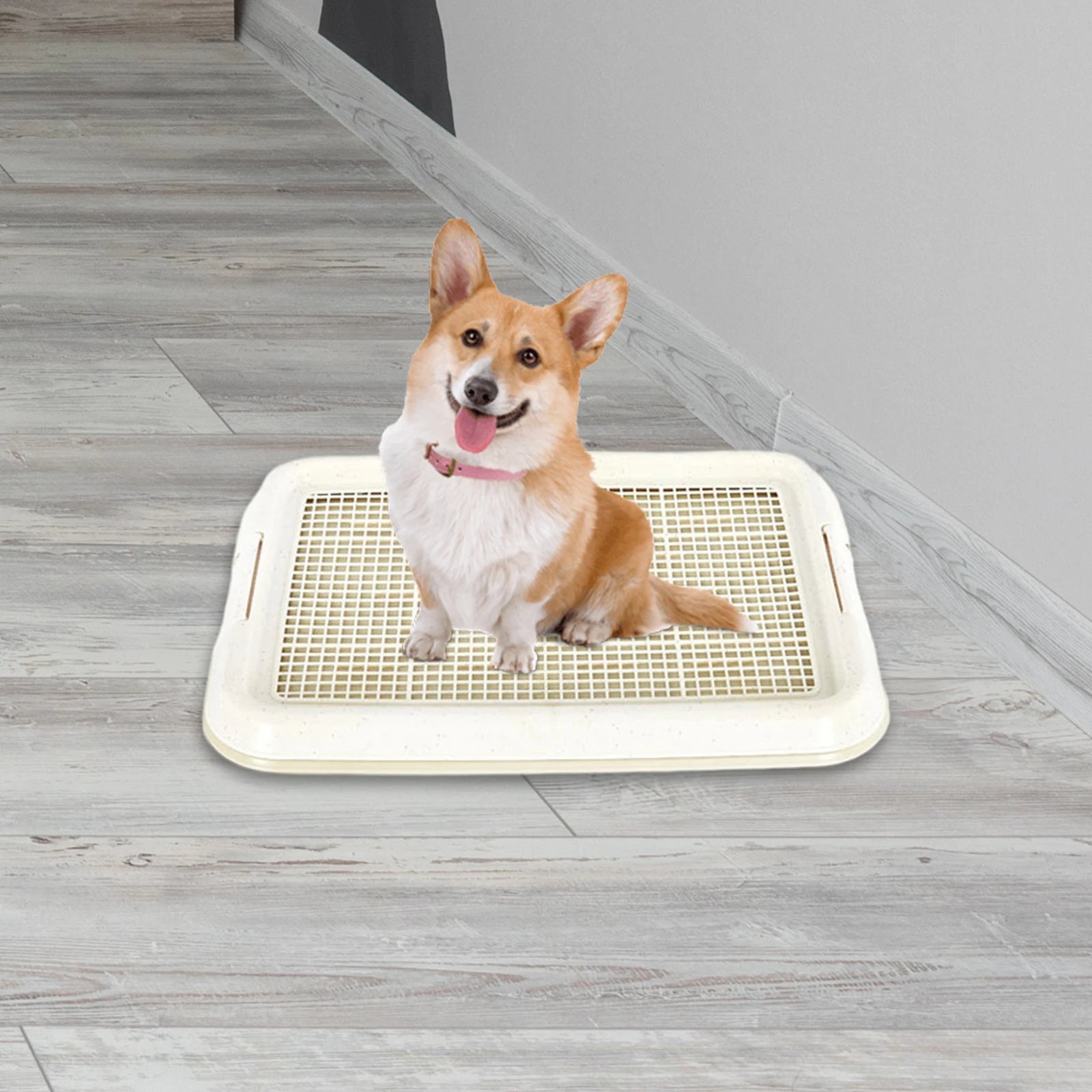 Dog Toilet Anti Slip Removable Mesh Potty Training Tray Puppy Pee Pad Holder for Small Dog Cat Pet Cleaning Supplies 47x35x3.5cm