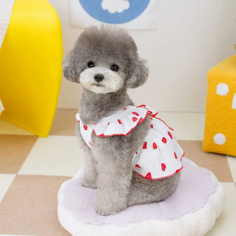Dog Strawberry Dress Puppy Summer Clothes Luxury Dog Skirt Pet Dog Apparel Bow Dog Suspenders Chihuahua Bichon Girls Dog Costume