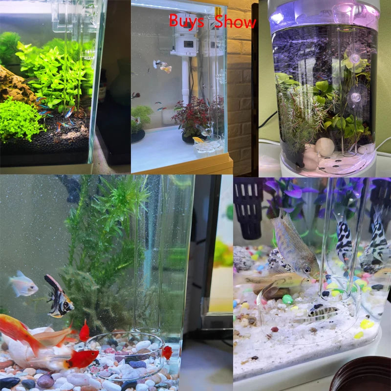 Glass Aquarium Feeder Tube Dish Transparent Fish Tank Shrimp Snail Food Feeder Bowl Aquarium Feeding Accessories Shrimp Feeders