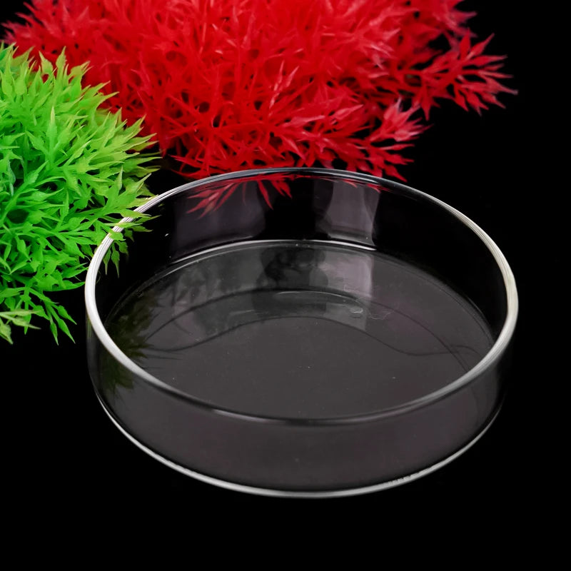 Aquarium Feeding Bowl Fish Tank Feeder Shrimp Tropical Fish Ratfish Glass Feeding Dish Clear Round Tray Reduce Food Scraps