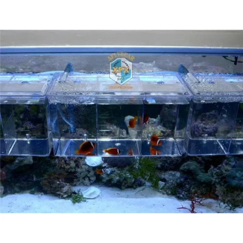 Suspend aquarium arcylic guppy baby small fish separation breeding box sick fish air promote