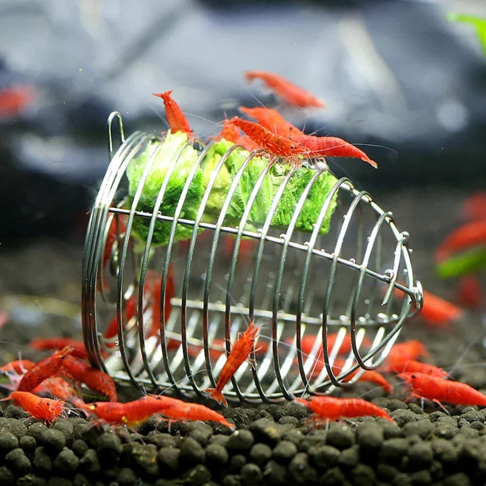 Shrimp Feeding Dish Stainless Steel Shrimp Bowls Feed Dish Metal Container Bait Cage Fish Tank Accessories for Shrimp Foods