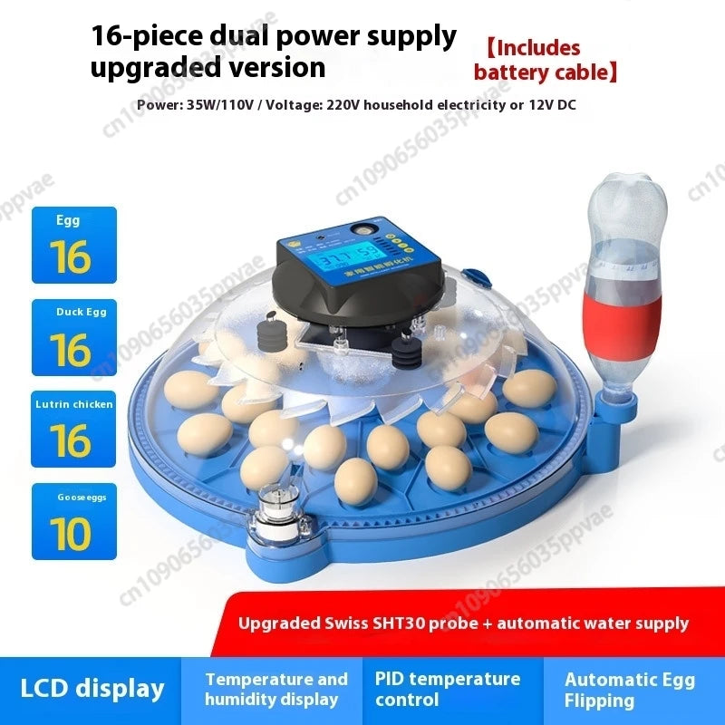 A8 Shape Automatic Egg Incubator For Cockatiel Parrot Quail Birds With Digital Temperature Control And Humidity Adjustment Smart
