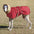 Super Warm Thick Dog Clothes Waterproof Dog Coat Jacket For Medium Large Dogs Greyhound Wolfhound Shepherd Clothing