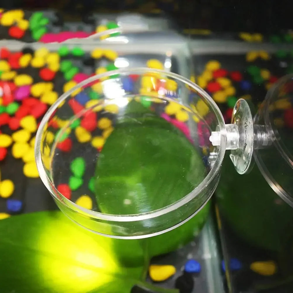 Fish Tank Feeder Aquarium Shrimp Glass Feeding Bowl Clear Dish Tray Container Feeders Aquarium Round  Square Fish Shrimp Feeding