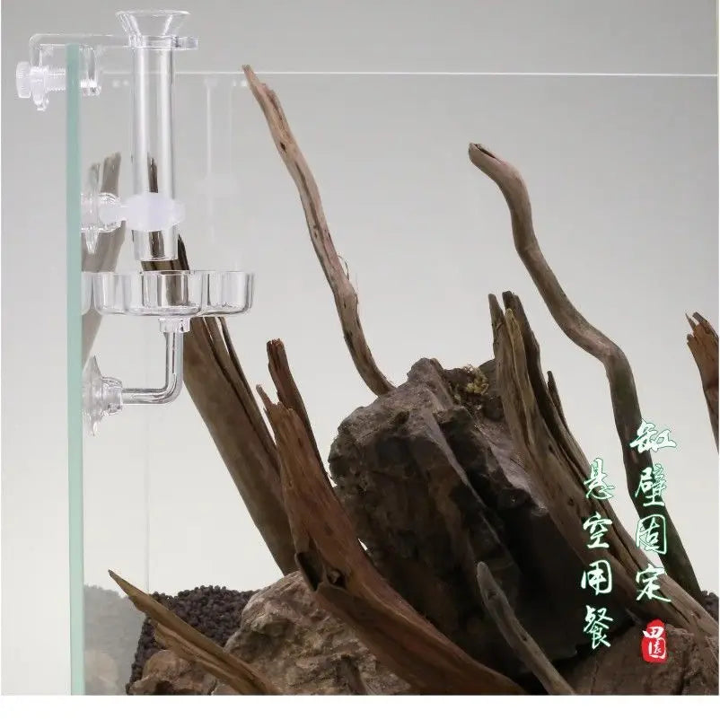 Aquarium Feeding Tray Clear Fish Shrimp Food Feeder Tube Dish Shrimp Bowl Feeding Ring Fish Tank Decoration Accessories