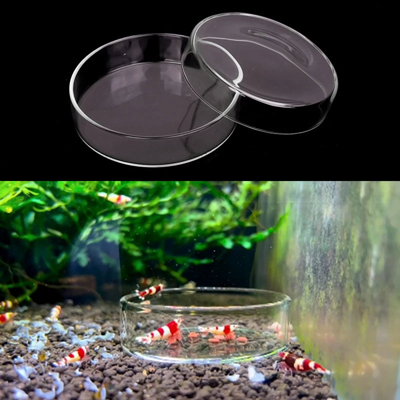 Aquarium Feeding Bowl Fish Tank Feeder Shrimp Tropical Fish Ratfish Glass Feeding Dish Clear Round Tray Reduce Food Scraps