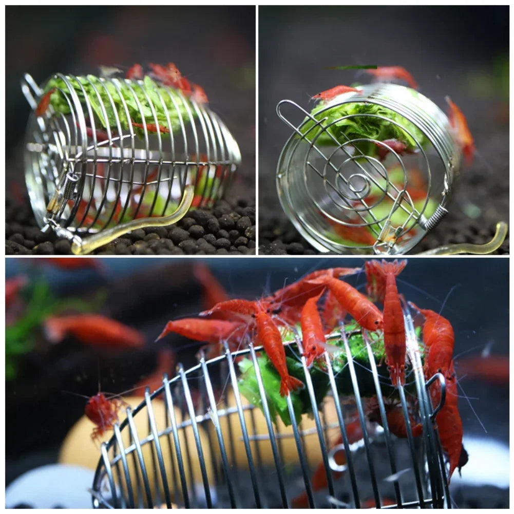 Shrimp Feeding Dish Stainless Steel Shrimp Bowls Feed Dish Metal Container Bait Cage Fish Tank Accessories for Shrimp Foods
