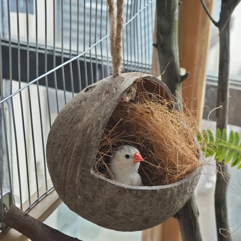 Coconut Bird Nest Hut with Ladder for Parrots Parakeet Conures Cockatiel - Small Animals House Pet Cage Habitats Decor