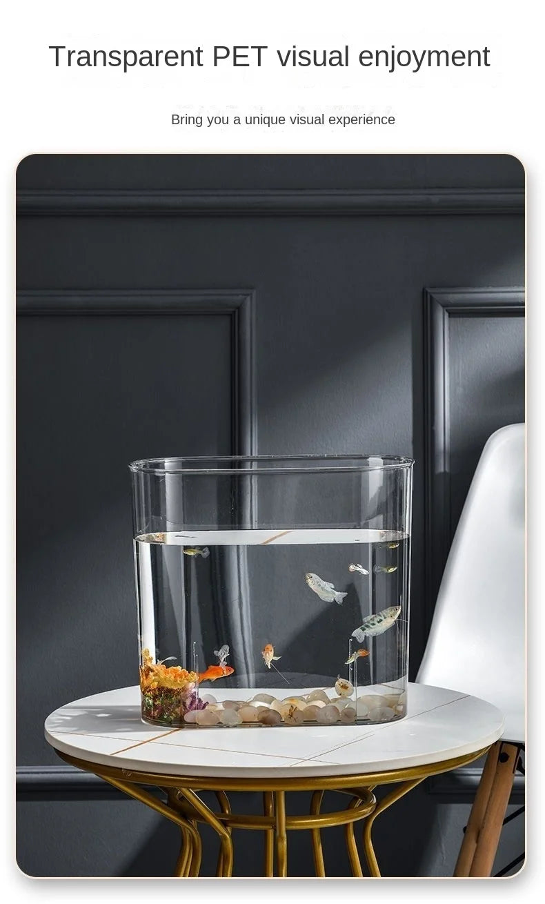 PET Aquarium Box Plastics Ultra-white Organic Glass Explosion-proof Fish Tank Tabletop Small Ecological Water Tank