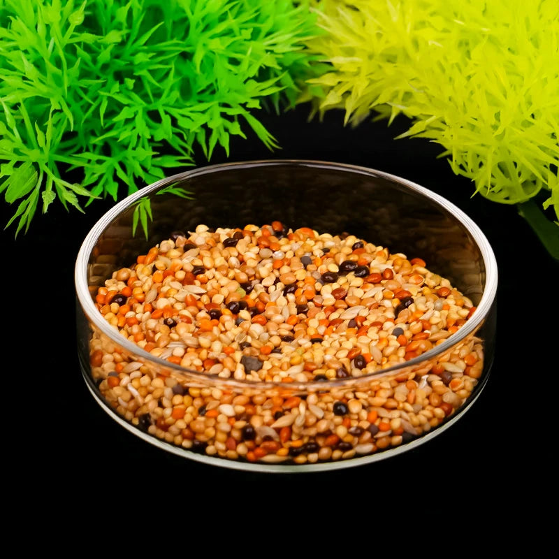 Aquarium Feeding Bowl Fish Tank Feeder Shrimp Tropical Fish Ratfish Glass Feeding Dish Clear Round Tray Reduce Food Scraps