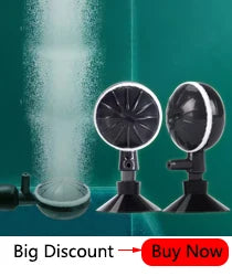 Glass Aquarium Feeder Tube Dish Transparent Fish Tank Shrimp Snail Food Feeder Bowl Aquarium Feeding Accessories Shrimp Feeders