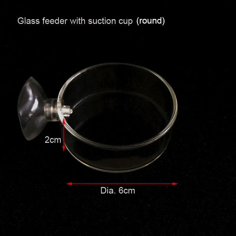 Glass Aquarium Feeder Tube Dish Transparent Fish Tank Shrimp Snail Food Feeder Bowl Aquarium Feeding Accessories Shrimp Feeders