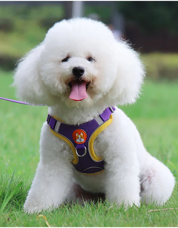 Pet Dog Harness and Leash Set Adjustable Flannel Chest Harness Reflective Breathable For Small Dogs Teddy Chihuahua Pet Supplies