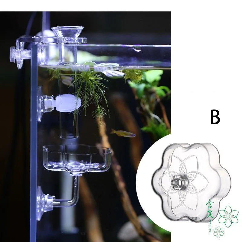 Aquarium Feeding Tray Clear Fish Shrimp Food Feeder Tube Dish Shrimp Bowl Feeding Ring Fish Tank Decoration Accessories
