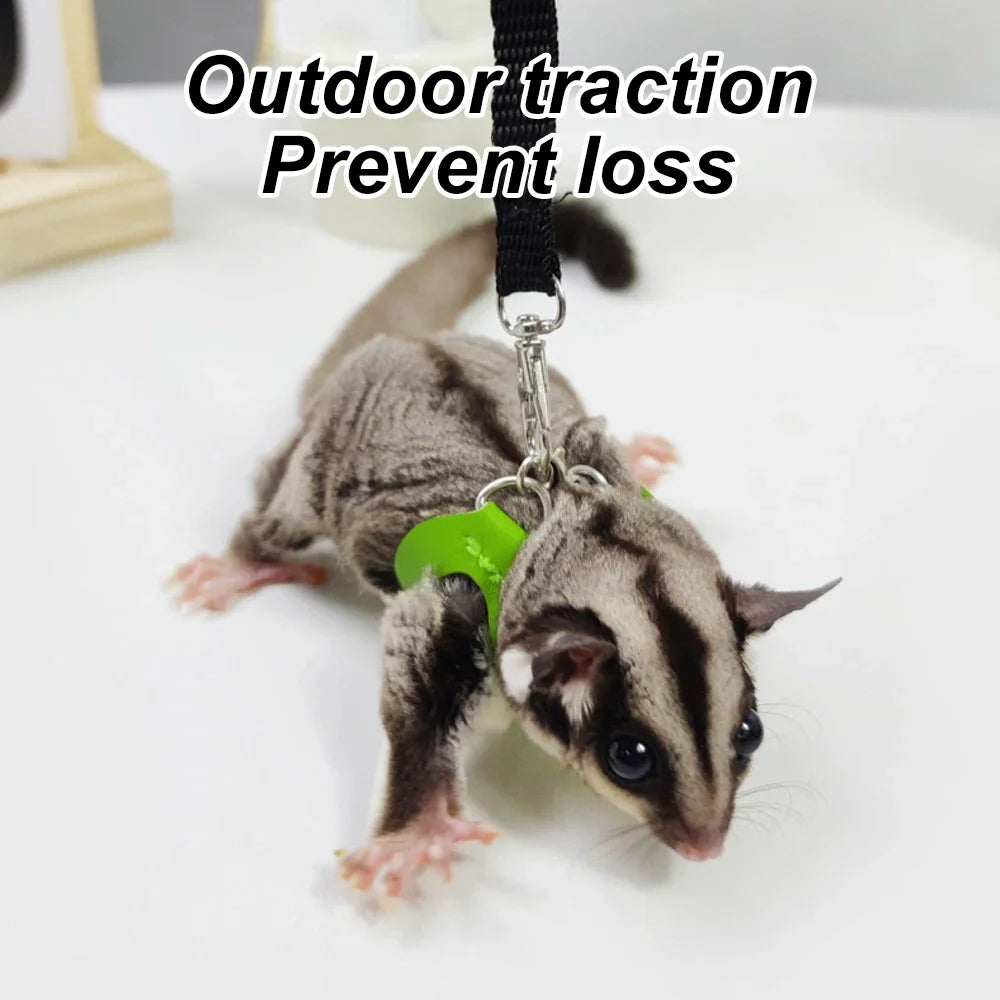 4 Pcs /set Sugar Quoll Harness + Leash Set Escape-Proof Adjustable Collar for Pet Small Animals Hamsters Sugar Gliders Squirrels