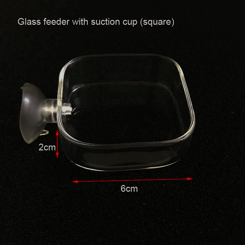 Glass Aquarium Feeder Tube Dish Transparent Fish Tank Shrimp Snail Food Feeder Bowl Aquarium Feeding Accessories Shrimp Feeders