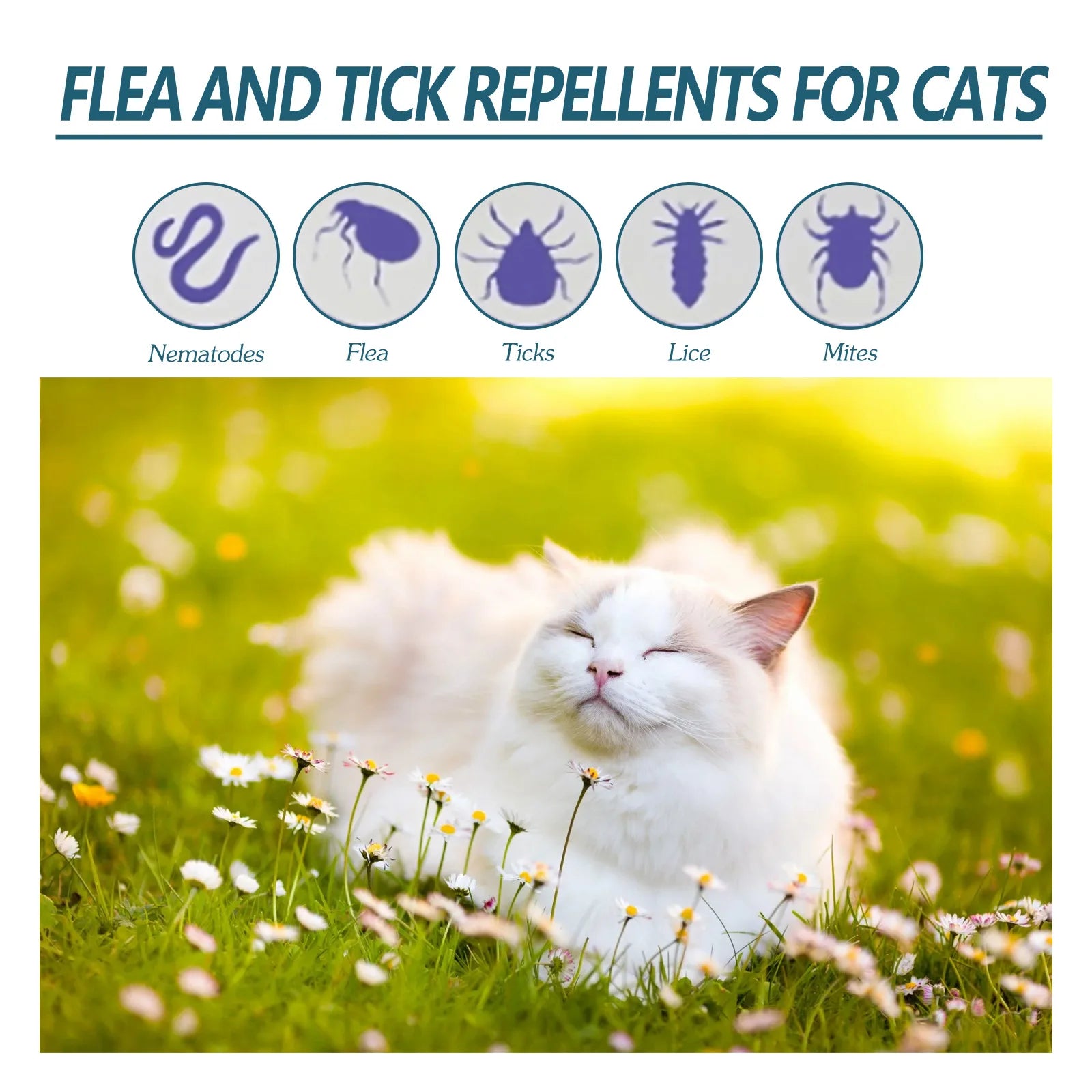 Pet Flea Killer Drops Anti Fleas Cats Ticks Lice Mite Removal Relieve Itching Dogs Ringworm Treatment Pet Skin Care Spray