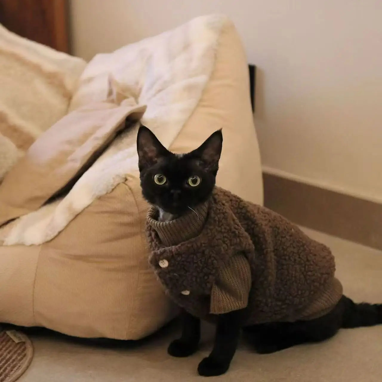 Autumn and winter dog casual simple solid color pullover sweater for small and medium-sized dogs warm cat two-legged pet dog clo