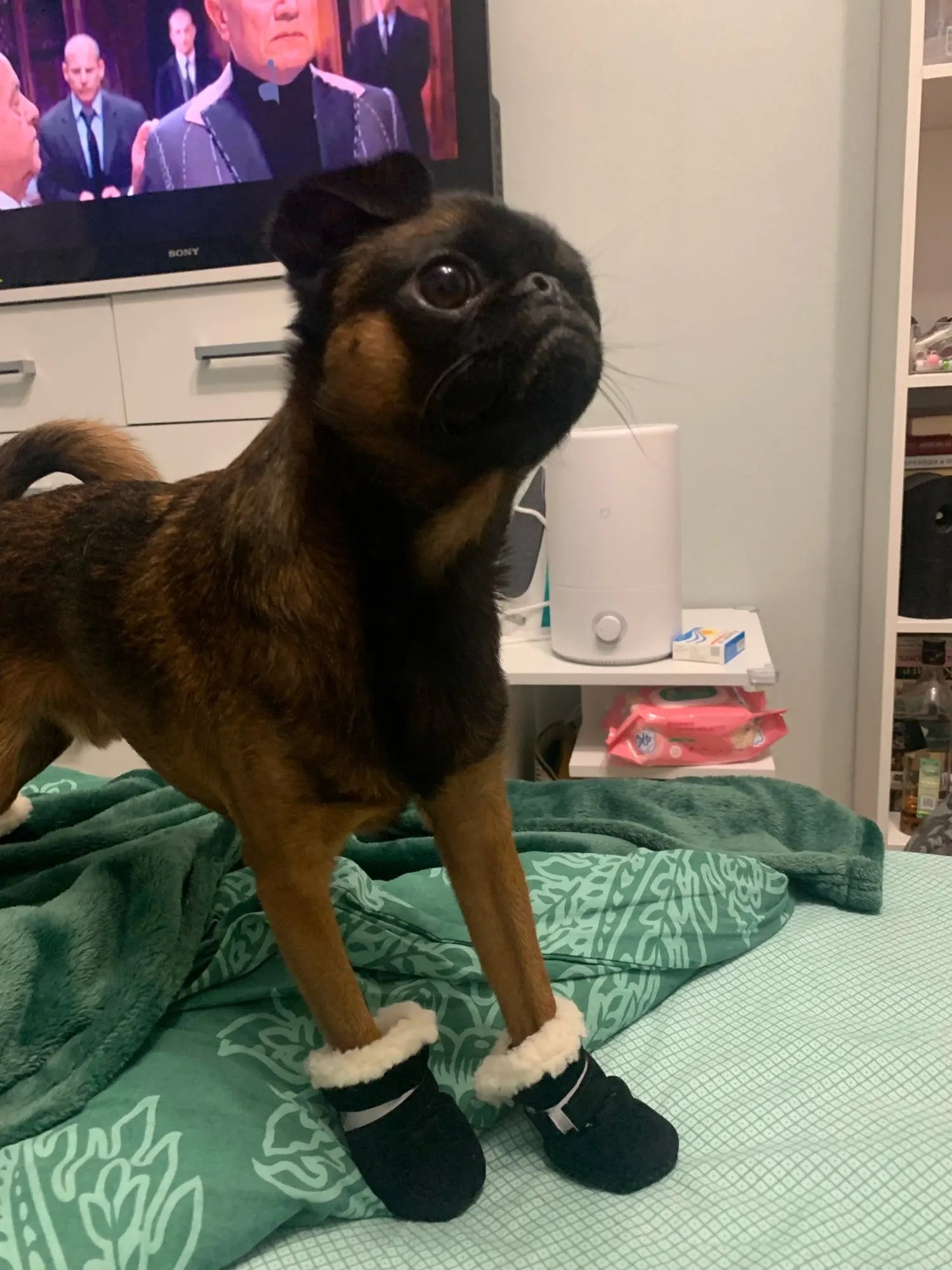 4pcs Winter Dog Shoes Waterproof Shoes For Medium Dogs Winter Boots For Small Dogs Warm Chihuahua Teeth Puppy Socks Yorkshire