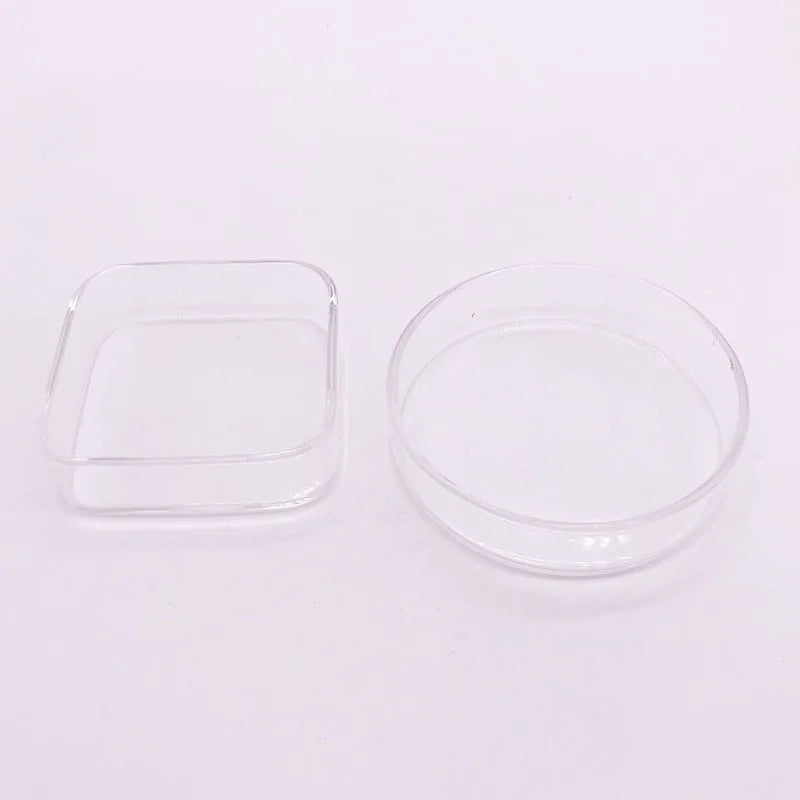 Glass Aquarium Feeder Tube Dish Transparent Fish Tank Shrimp Snail Food Feeder Bowl Aquarium Feeding Accessories Shrimp Feeding