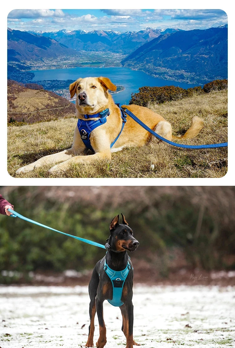 Truelove Pet Harness+Pet Leash Set Rope 110cm/200cm All-in-one Reflective Dog Harness No Pull Adjustable Buckles Dropshipping